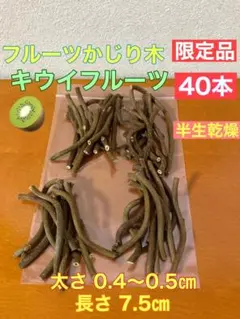 Item thumbnail for item 5e5921ff-9625-465e-b5d8-a8e9b4be63f6