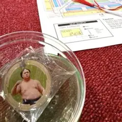 大相撲ガチャ⭐︎新品未使用⭐︎時疾風