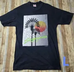 90s vintage　YANKEE TEES　Tシャツ　シングルス　スーベニア