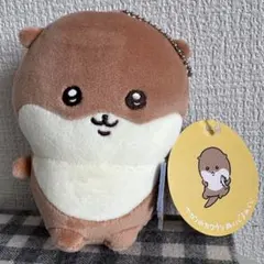 ナガノ　カワウソ　ぬいぐるみくじ　D賞　マスコット
