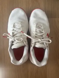 28.5cm NIKE ナイキ HYPERDUNK 2017 LOW EP