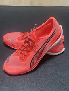 Item thumbnail for item 57c2d334-4d41-435d-9a5d-fb9ac281083b