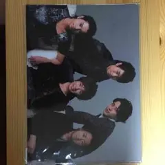 嵐 ライブツアー 公式グッズ ファイル