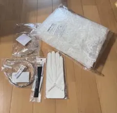 ウェディングベールセット（手袋・チョーカー・ティアラ付き）