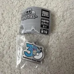 ポケモン 30周年 チャームマスコット カメックス