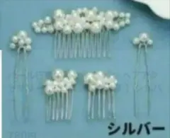 バール行事髪飾り ヘアピン ヘアアクセサリー ドレス【5点セット】シルバー