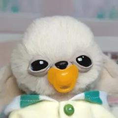 チワボボちゃん①　アートドール　ぬいぐるみ