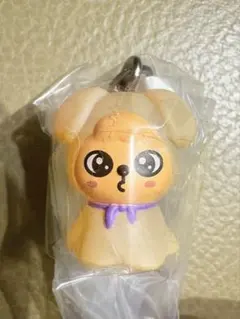 PuppyM パピーム グッズ まとめ売り PuppyM パピーム グッズ まとめ売り