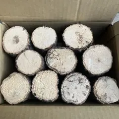 Item thumbnail for item 96fedeb5-ccbc-4869-aad8-da1aac08ad4b