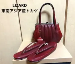 和装 レディース 草履＆バッグセット LIZARD 東南アジア産トカゲ革
