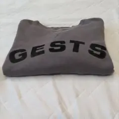 90年代ビンテージテイストGESTS 刺繍 リバースウィーブ系スウェット