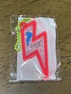 FEST.INAZUMA イナズマ型 びわこキーホルダー ピンク