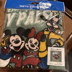 【未使用】ディズニー ウォッシュタオル
