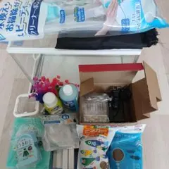 めだか飼育セットのサムネイル