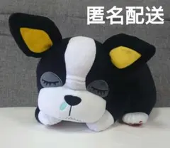 2026年最新】めちゃもふぐっと イギーの人気アイテム - メルカリ