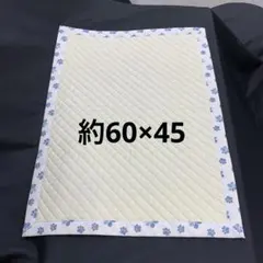 Item thumbnail for item d9fe98a6-0e74-4308-8401-d3c2a60fd5b2