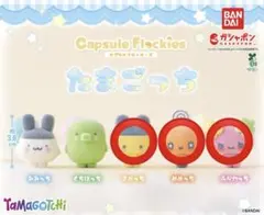 たまごっち カプセルフロッキー 3種セット