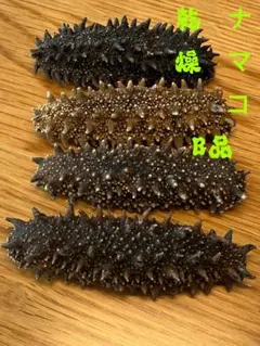 北海道産 乾燥海鼠ナマコ AB品 形の良いAB品 100g - メルカリ