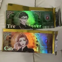 【 ツイステ 】ブレイジングジュエル　チケット風カード　トレイ　ケイト