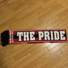 浦和BOYS マフラー