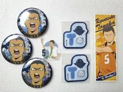 ハイキュー!! 田中龍之介 原作グッズまとめ売り♪コレクション缶バッジ