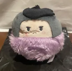 鬼滅の刃　たぴぬい　不死川玄弥