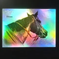 ノースフライト、VICTORY 2000【3点300円】