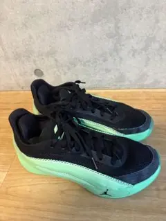 廃盤✨NIKE ナイキ ルナ ハイパーダンク2014クイックネス25.5 cm