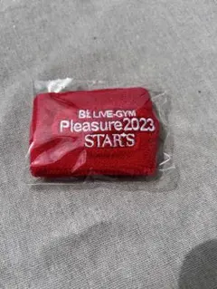 B'z LIVE-GYM Pleasure 2023 リストバンドのサムネイル