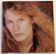 John Sykes/Please Don't Leave Me/廃盤/国内盤のサムネイル