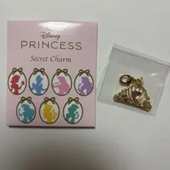 ディズニープリンセス シークレットチャーム　アリエル