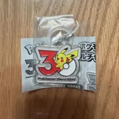 ポケモン 30周年記念 ピカチュウ メタルチャーム