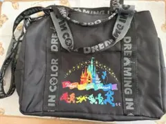 ディズニー ドリーミングインカラー　トート ショルダーバッグ