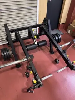 配送応相談：ワイルドフィット67.5kg＋7.5kg IROTECプレートツリー ワイルドフィット 67.5kg＋7.5kg IROTEC プレートツリー - メルカリ