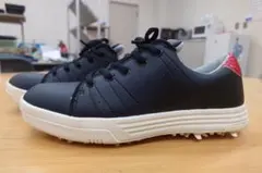 Item thumbnail for item 61b23778-548d-4914-a84a-7764226d835d