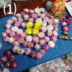 Item thumbnail for item 36a0f3b8-3210-42ae-a61d-958a191090e6