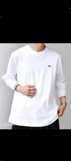 【SHIPS any別注】LACOSTE ラコステ　ロンT ホワイト