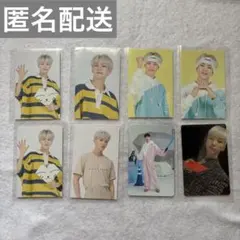 seventeen タレントカード