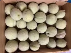 882.季節限定福島県産若桃摘果桃硬い桃加工用箱込み1.3kg常温発送玉数 