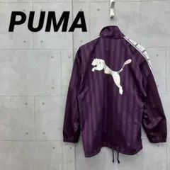 Item thumbnail for item f906fe06-9317-4e5c-80c5-82ea1bb1038e