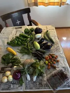 野菜セット　ブラックベリーとビステッカ ナス入り　80サイズのサムネイル