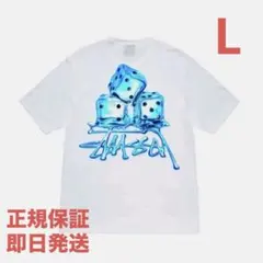 ❗️期間限定SALE❗️ステューシー メルツ Tシャツ ホワイトLのサムネイル