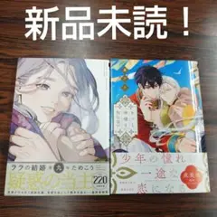 BL新刊　新品未読！ララの結婚9　ためこう　きっと神様も知らない　幕アケ