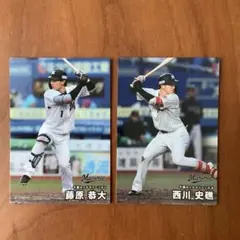プロ野球チップス カード レギュラーカード 千葉ロッテマリーンズ カルビー