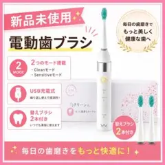 전동 칫솔 ⭐️ 충전식 본체 칫솔 (교체 가능한 브러시 2개 포함), 치약, 구강 관리