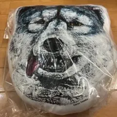一番くじ MAN WITH A MISSION C賞 フェイスクッション