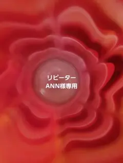 ANN様専用
