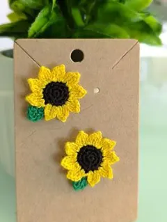 earings