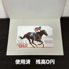 2005年 日本テレビ杯 サカラート 使用済