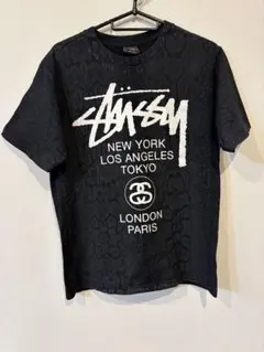stussy Tシャツ